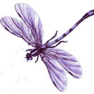 Meet your Posher, Regina